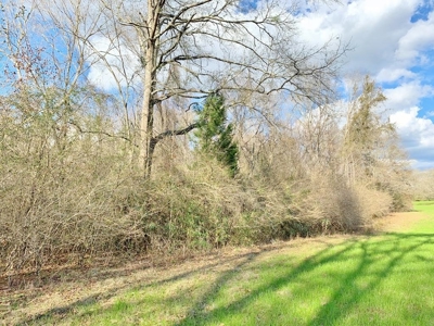 270 Acres Hunting Land for Sale, Lake, Pasture, Amite Co, MS - image 40