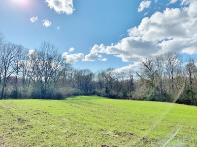 270 Acres Hunting Land for Sale, Lake, Pasture, Amite Co, MS - image 31