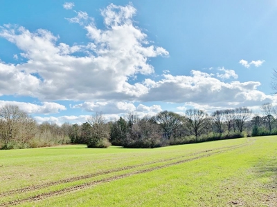 270 Acres Hunting Land for Sale, Lake, Pasture, Amite Co, MS - image 32