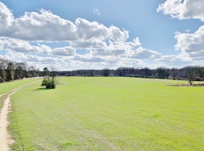 270 Acres Hunting Land for Sale, Lake, Pasture, Amite Co, MS - image 6