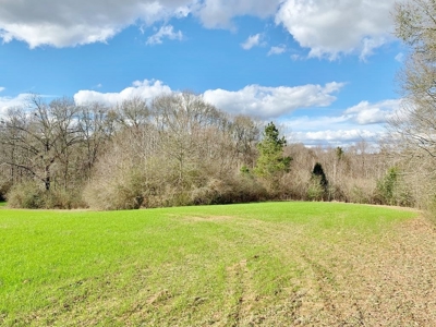270 Acres Hunting Land for Sale, Lake, Pasture, Amite Co, MS - image 28