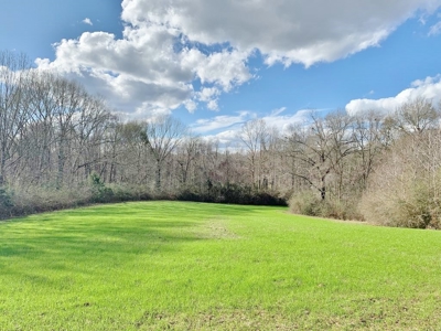 270 Acres Hunting Land for Sale, Lake, Pasture, Amite Co, MS - image 27
