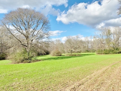 270 Acres Hunting Land for Sale, Lake, Pasture, Amite Co, MS - image 30