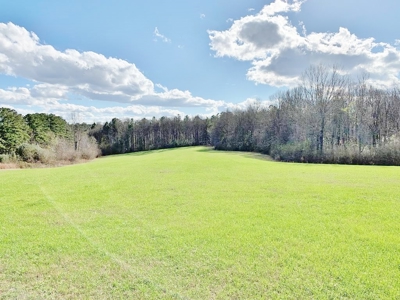 270 Acres Hunting Land for Sale, Lake, Pasture, Amite Co, MS - image 41