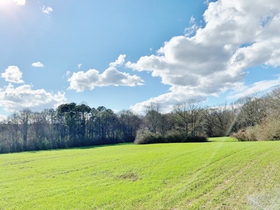 270 Acres Hunting Land for Sale, Lake, Pasture, Amite Co, MS - image 34
