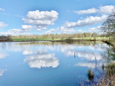 270 Acres Hunting Land for Sale, Lake, Pasture, Amite Co, MS - image 15