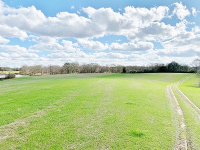 270 Acres Hunting Land for Sale, Lake, Pasture, Amite Co, MS - image 23
