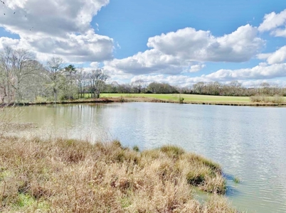 270 Acres Hunting Land for Sale, Lake, Pasture, Amite Co, MS - image 1