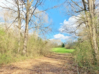 270 Acres Hunting Land for Sale, Lake, Pasture, Amite Co, MS - image 39