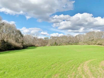270 Acres Hunting Land for Sale, Lake, Pasture, Amite Co, MS - image 26