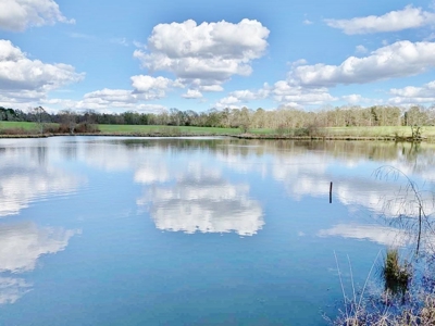 270 Acres Hunting Land for Sale, Lake, Pasture, Amite Co, MS - image 9