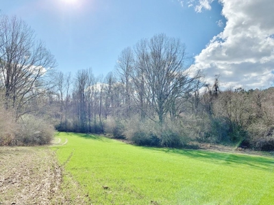 270 Acres Hunting Land for Sale, Lake, Pasture, Amite Co, MS - image 25
