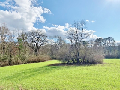 270 Acres Hunting Land for Sale, Lake, Pasture, Amite Co, MS - image 35