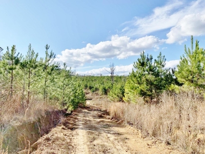 270 Acres Hunting Land for Sale, Lake, Pasture, Amite Co, MS - image 13