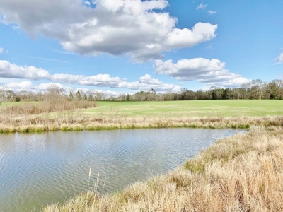 270 Acres Hunting Land for Sale, Lake, Pasture, Amite Co, MS - image 5