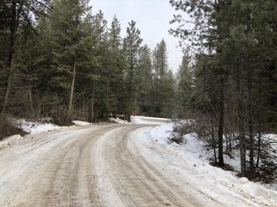 Excellent 20 Acre Parcel of Land in North Idaho. - image 2