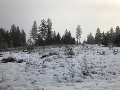 Excellent 20 Acre Parcel of Land in North Idaho. - image 4