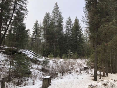 Excellent 20 Acre Parcel of Land in North Idaho. - image 3