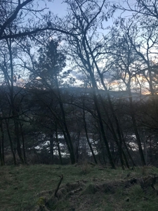 Recreational Lot along Clearwater River near Lenore, Idaho - image 1