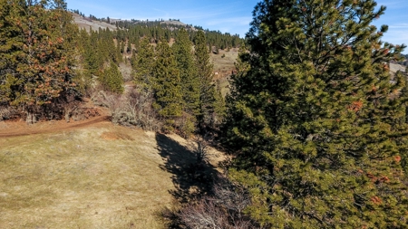 Recreational Lot along Clearwater River near Lenore, Idaho - image 6
