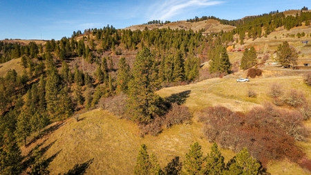 Recreational Lot along Clearwater River near Lenore, Idaho - image 8