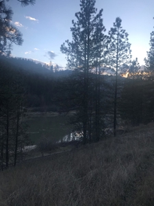 Recreational Lot along Clearwater River near Lenore, Idaho - image 4