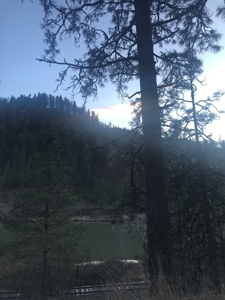 Recreational Lot along Clearwater River near Lenore, Idaho - image 2