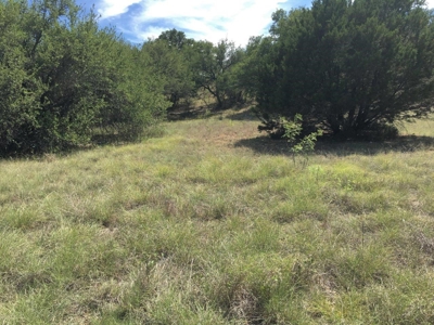 Resort Lot 864 The Hideout Golf Course Lake Brownwood  TX - image 12