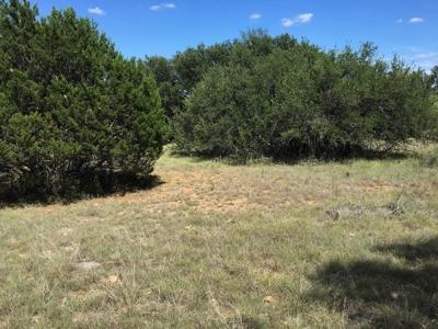Resort Lot 864 The Hideout Golf Course Lake Brownwood  TX - image 11