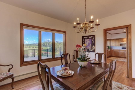 Woodland Park Ranch With Stream Bordering National Forest - image 12