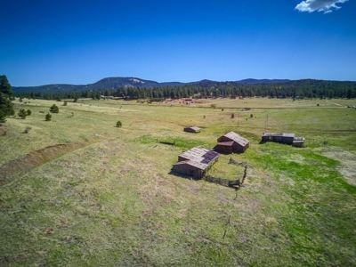 Woodland Park Ranch With Stream Bordering National Forest - image 8