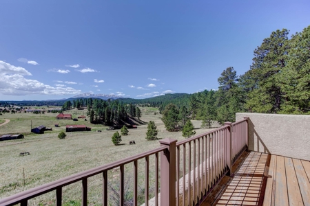 Woodland Park Ranch With Stream Bordering National Forest - image 24