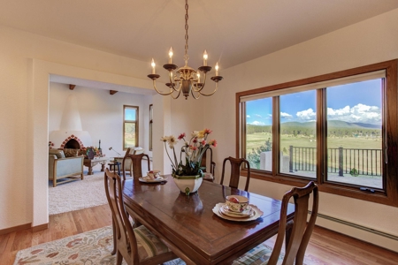 Woodland Park Ranch With Stream Bordering National Forest - image 13