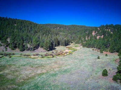 Woodland Park Ranch With Stream Bordering National Forest - image 7