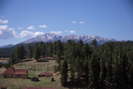 Woodland Park Ranch With Stream Bordering National Forest - image 5