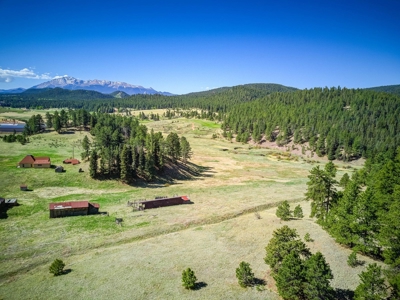 Woodland Park Ranch With Stream Bordering National Forest - image 9