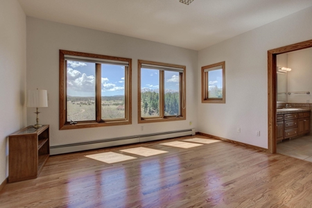 Woodland Park Ranch With Stream Bordering National Forest - image 19