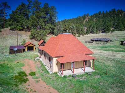Woodland Park Ranch With Stream Bordering National Forest - image 25