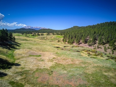 Woodland Park Ranch With Stream Bordering National Forest - image 6