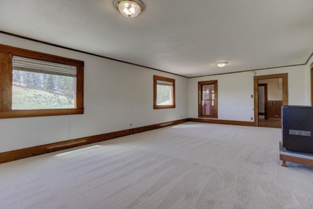 Woodland Park Ranch With Stream Bordering National Forest - image 29