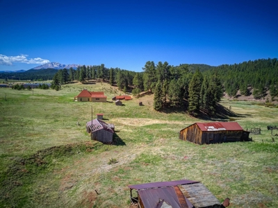 Woodland Park Ranch With Stream Bordering National Forest - image 1
