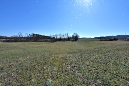 Land - image 11