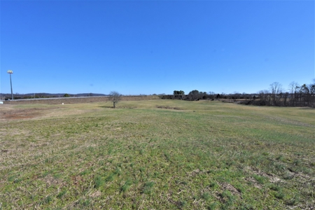 Land - image 10