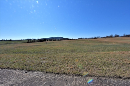 Land - image 14