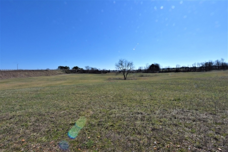 Land - image 3
