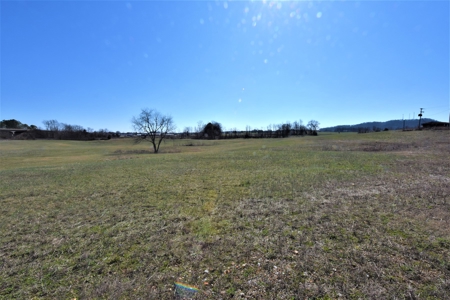 Land - image 4
