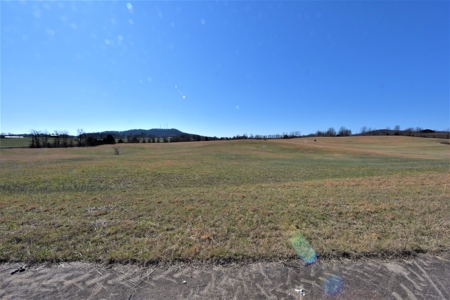 Land - image 15