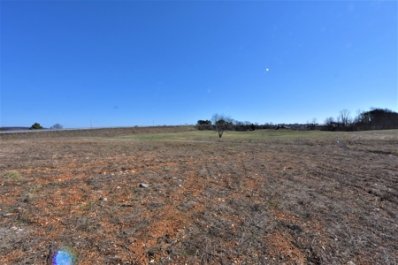 Land - image 6