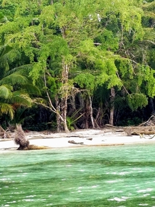 Titled Beachfront lot, Isla Carenero, Bocas del Toro Panama - image 7