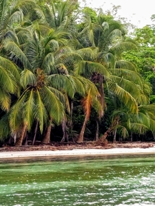 Titled Beachfront lot, Isla Carenero, Bocas del Toro Panama - image 5